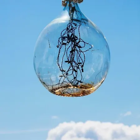 Megali Ammos House Megali Ammos (Skiathos)