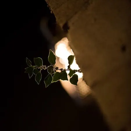 Lejlighedshotel Megali Ammos House 4*