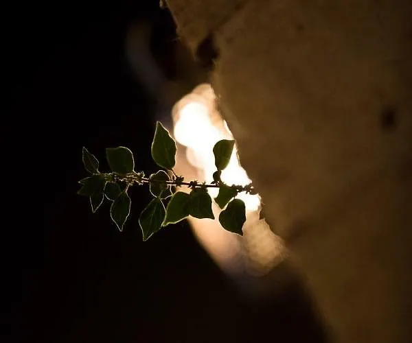 Hotel apartamentowy Megali Ammos House 4*